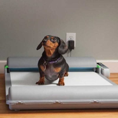 BrilliantPad: Self-Cleaning Indoor Dog Potty