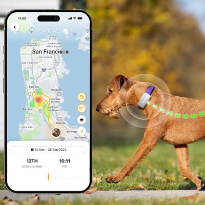 Petcube GPS Tracker – Real-Time Tracking Dog Collar with LTE/4G