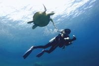 Underwater view of a turtle swimming above a diver using the LEFEET P1 scooter.