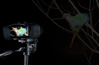 AKASO Seemor on tripod displaying a colorful bird in the dark.