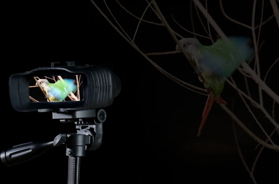 AKASO Seemor on tripod displaying a colorful bird in the dark.