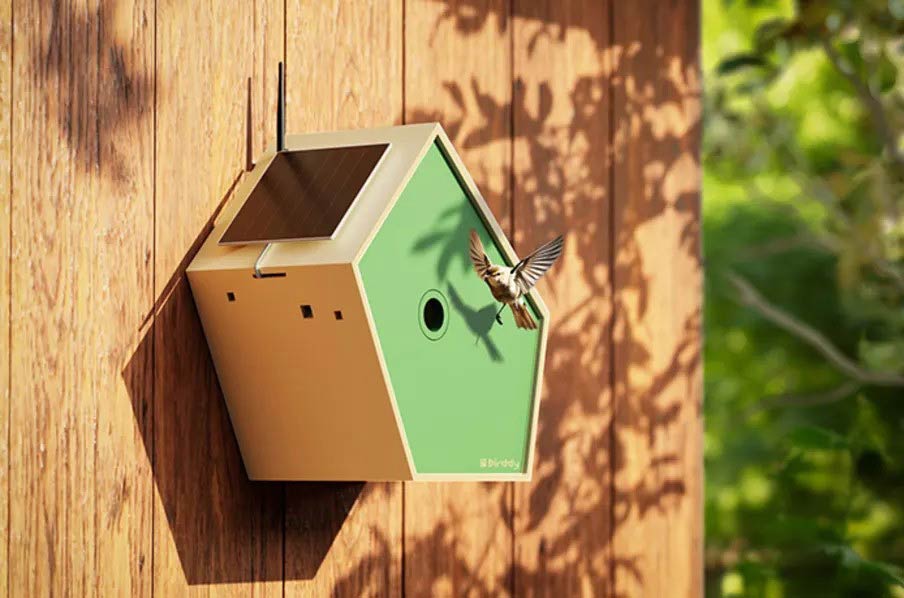 A bird flying towards the Birddy smart birdhouse mounted on a wall