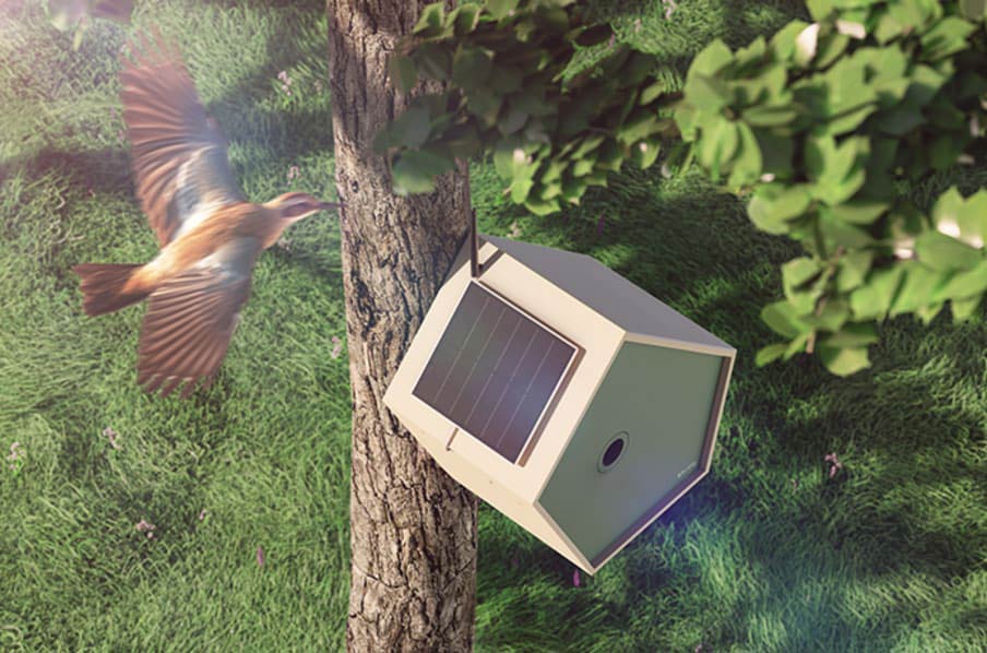 A bird in flight near the Birddy smart birdhouse attached to a tree