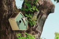 A sparrow alights on the Birddy smart birdhouse perched on a tree trunk.