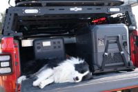Dog beside BLUETTI SwapSolar station in a truck bed