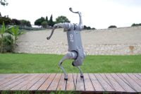 Unitree Go2 robot in a handstand pose on wet wooden planks
