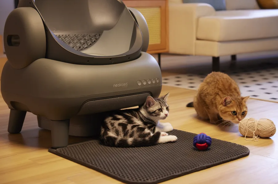 Two cats in front of Neakasa M1