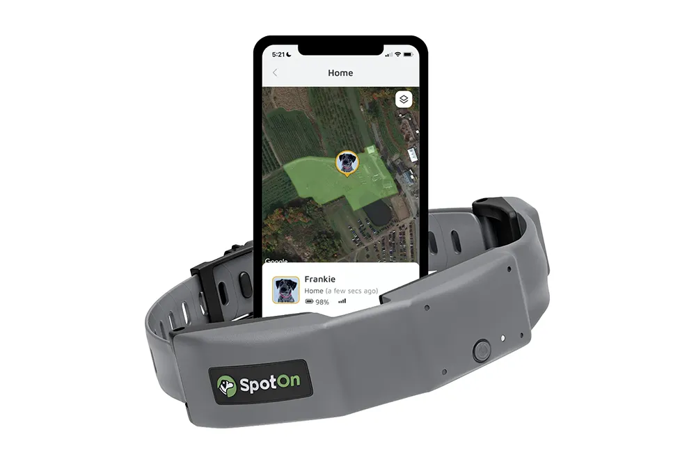 SpotOn GPS dog collar with smartphone app on display