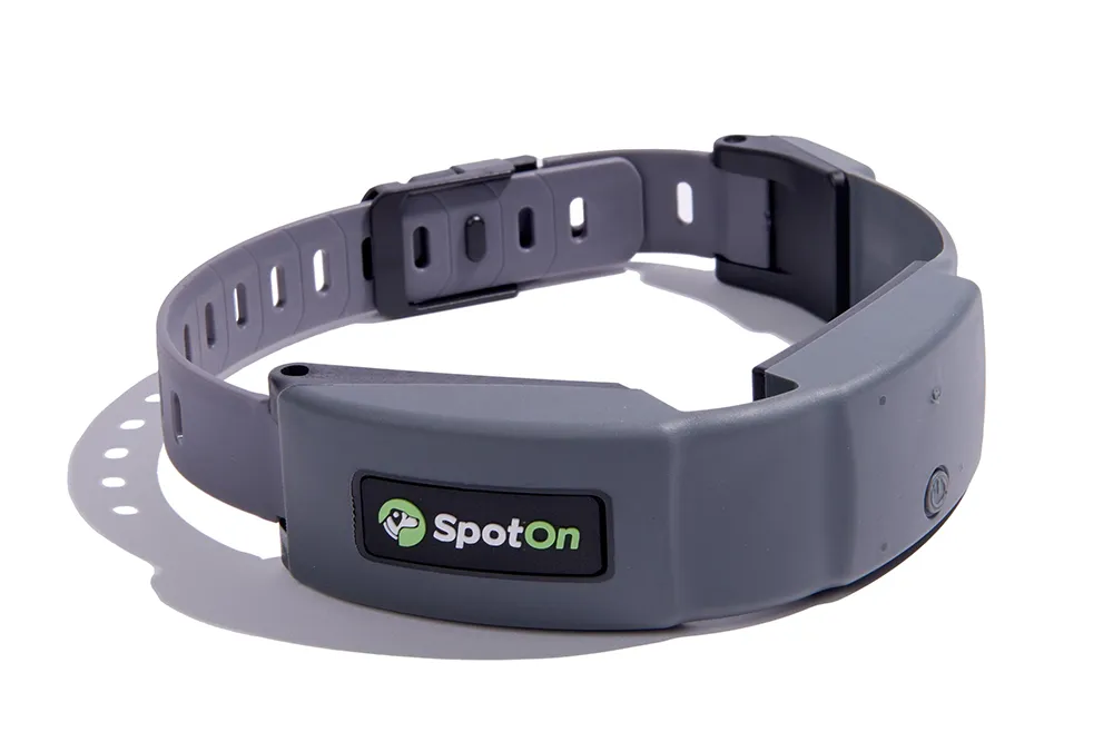 Close-up of the SpotOn GPS dog collar.